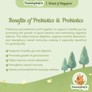 Yummybara Freeze Dried Rice Rusks (20g) 8 months+