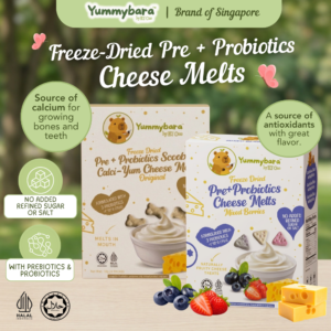 Yummybara Freeze Dried Pre + Probiotics Cheese Melts (18g) 8 months+